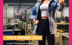 Toys Report 2024